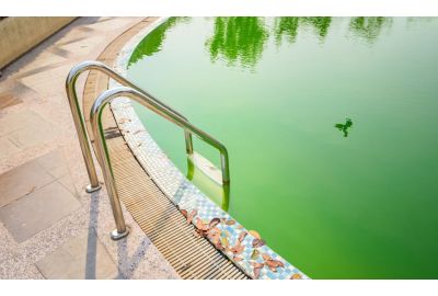 Acqua verde in piscina: cause e rimedi