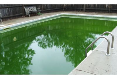 Come evitare la formazione di alghe in piscina in inverno?