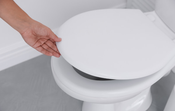 Tavolette WC Tavolette WC