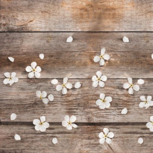 Tappeto passatoia da cucina modello primavera